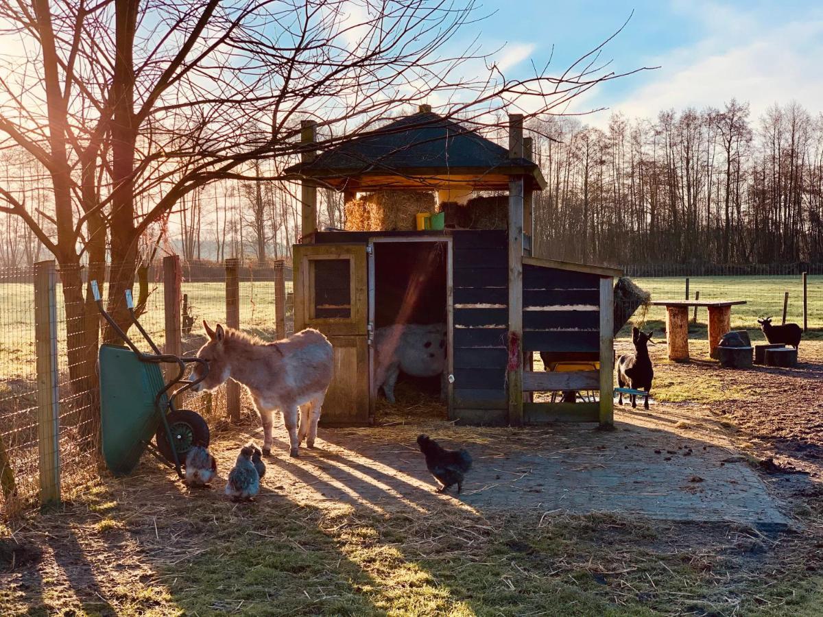Camping Vossenberg - Op De Veluwe! Epe Eksteriør billede